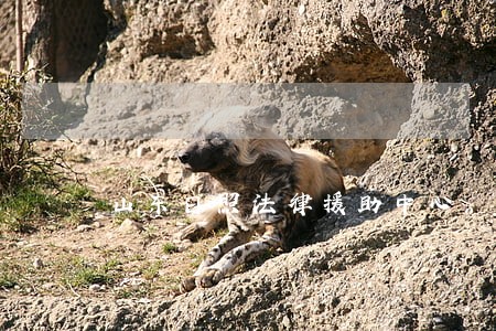 山东日照法律援助中心 山东日照法律援助中心