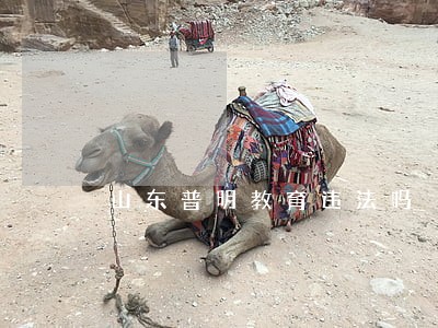 山东普明教育违法吗 山东普明教育违法吗