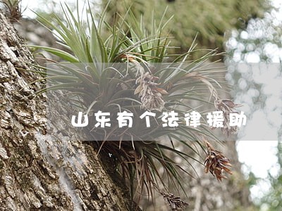 山东有个法律援助 山东有个法律援助