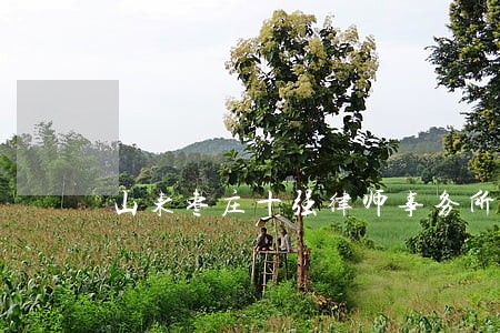 山东枣庄十强律师事务所 山东枣庄十强律师事务所