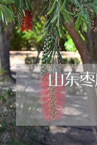 山东枣庄建筑工程律师服务平台 山东枣庄建筑工程律师服务平台
