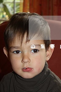 山东枣庄建筑房产律师