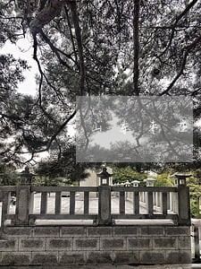 山东枣庄房产交易律师 山东枣庄房产交易律师