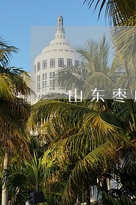 山东枣庄找十大知名律师事务所 山东枣庄找十大知名律师事务所