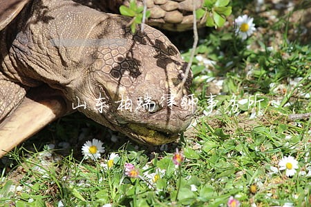山东柏瑞律师事务所 山东柏瑞律师事务所