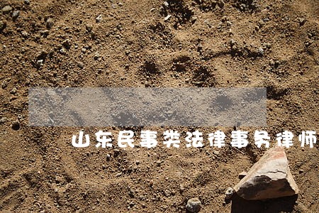 山东民事类法律事务律师