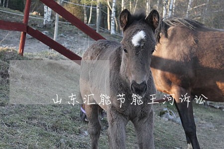 山东汇能节能王河诉讼 山东汇能节能王河诉讼