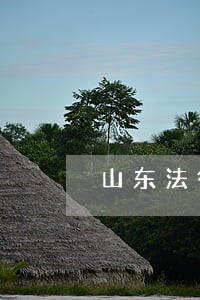 山东法律咨询哪家专业 山东法律咨询哪家专业