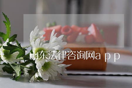 山东法律咨询网app 山东法律咨询网app