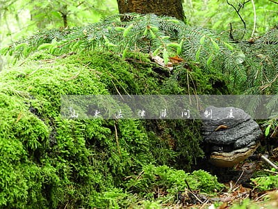 山东法律顾问制度 山东法律顾问制度