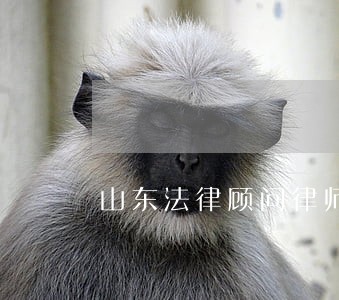 山东法律顾问律师 山东法律顾问律师