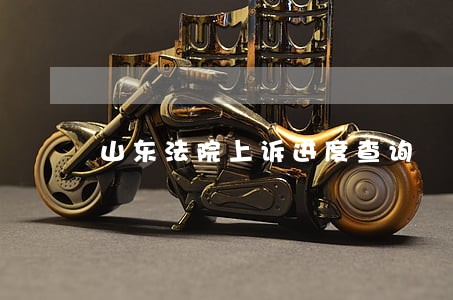 山东法院上诉进度查询 山东法院上诉进度查询
