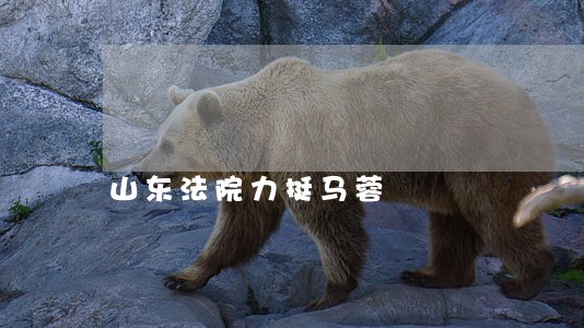 山东法院力挺马蓉 山东法院力挺马蓉