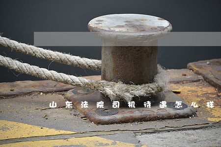 山东法院司机待遇怎么样