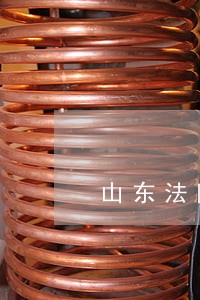 山东法院张甲天简历