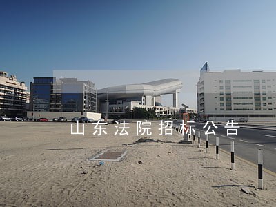 山东法院招标公告