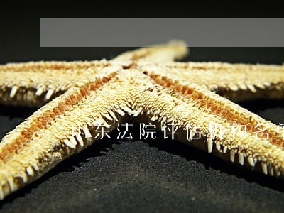 山东法院评估机构名单 山东法院评估机构名单
