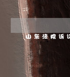 山东法院诉讼电子服务平台 山东法院诉讼电子服务平台