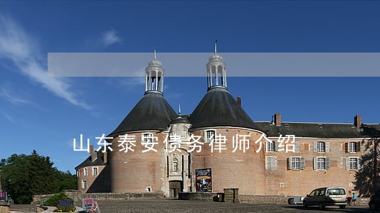 山东泰安债务律师介绍