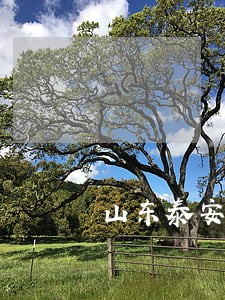 山东泰安劳动纠纷律师代理费 山东泰安劳动纠纷律师代理费
