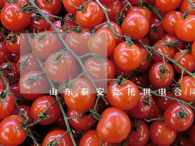 山东泰安委托供电合同律师