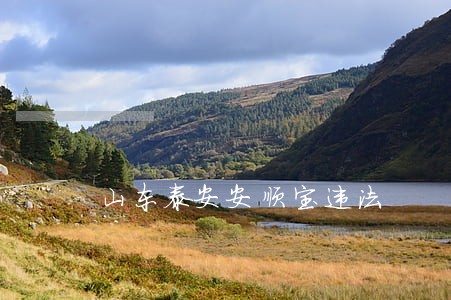 山东泰安安顺宝违法 山东泰安安顺宝违法