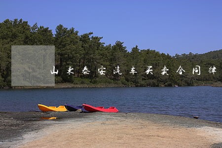 山东泰安汽车买卖合同律师收费 山东泰安汽车买卖合同律师收费