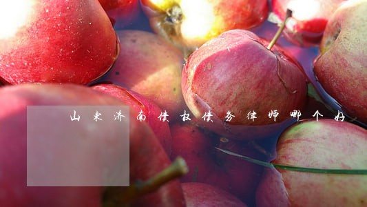 山东济南债权债务律师哪个好 山东济南债权债务律师哪个好