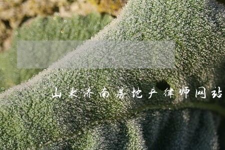 山东济南房地产律师网站 山东济南房地产律师网站
