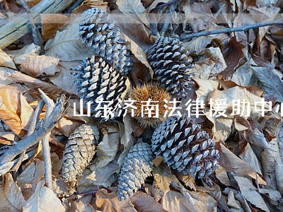 山东济南法律援助中心 山东济南法律援助中心