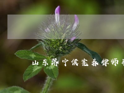 山东济宁侯宪春律师事件观点 山东济宁侯宪春律师事件观点