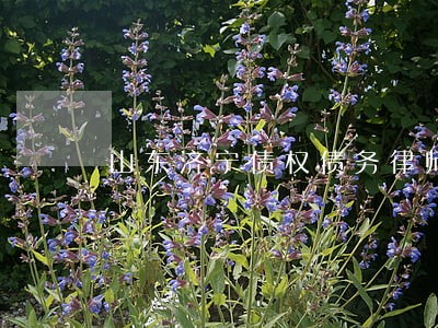山东济宁债权债务律师哪里找 山东济宁债权债务律师哪里找