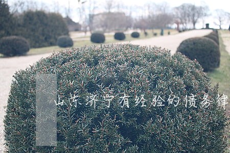 山东济宁有经验的债务律师 山东济宁有经验的债务律师