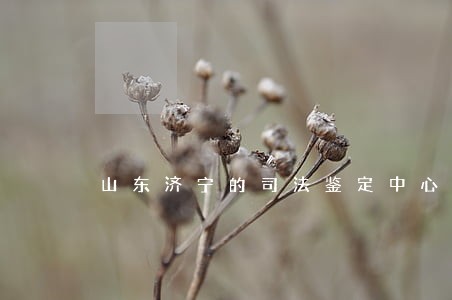 山东济宁的司法鉴定中心 山东济宁的司法鉴定中心