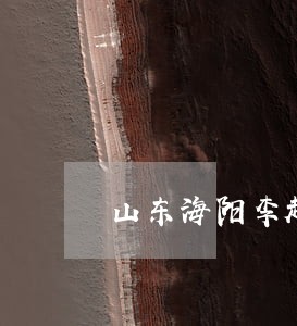 山东海阳李超辉律师网 山东海阳李超辉律师网