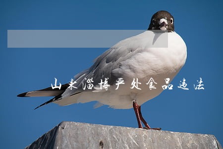 山东淄博严处食品违法 山东淄博严处食品违法