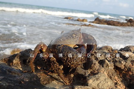 山东淄博临淄区律师事务所名录