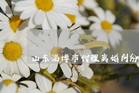山东淄博市代理离婚纠纷律师 山东淄博市代理离婚纠纷律师