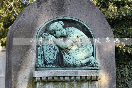 山东滕州法院行政案集中管辖 山东滕州法院行政案集中管辖