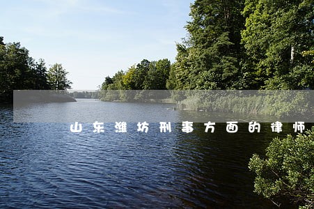 山东潍坊刑事方面的律师 山东潍坊刑事方面的律师