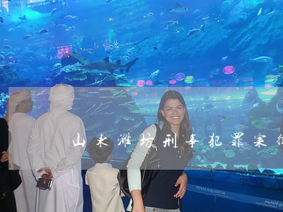 山东潍坊刑事犯罪案律师事务所 山东潍坊刑事犯罪案律师事务所