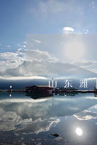 山东潍坊合同纠纷律师哪个好 山东潍坊合同纠纷律师哪个好