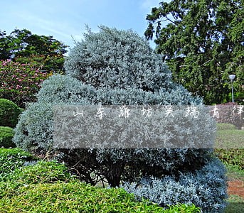 山东潍坊吴瑞青律师观点 山东潍坊吴瑞青律师观点