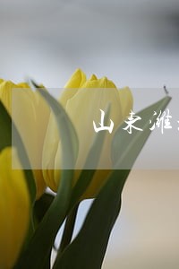 山东潍坊律师咨询