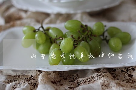山东潍坊抚养权律师咨询方式