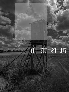 山东潍坊抚养权律师电话咨询
