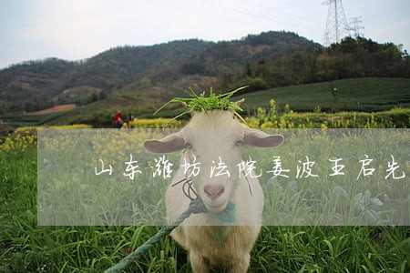 山东潍坊法院姜波王启先 山东潍坊法院姜波王启先