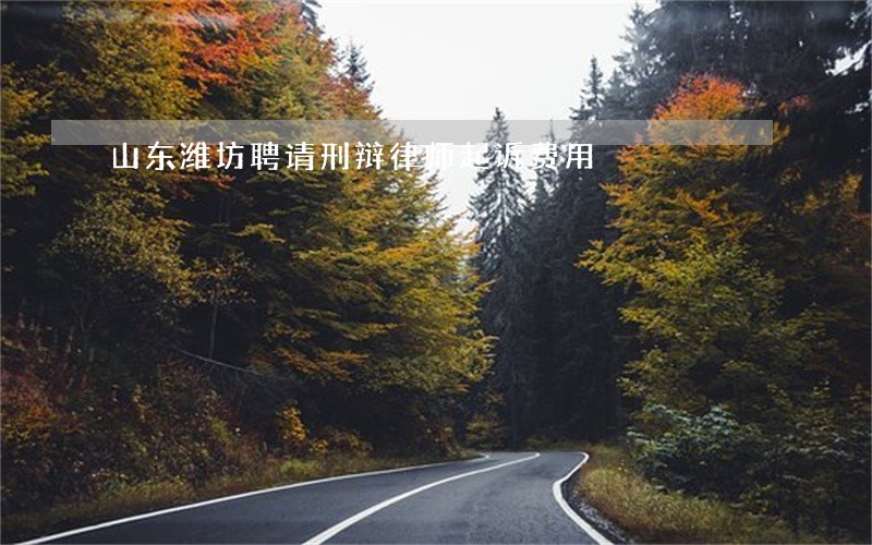 山东潍坊聘请刑辩律师起诉费用 山东潍坊聘请刑辩律师起诉费用