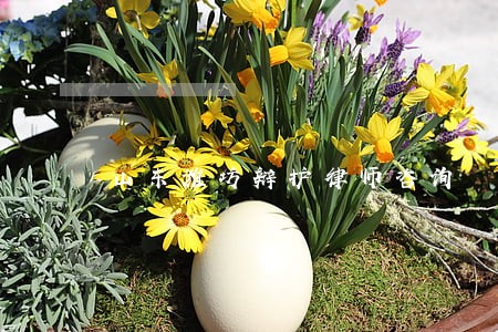 山东潍坊辩护律师咨询 山东潍坊辩护律师咨询