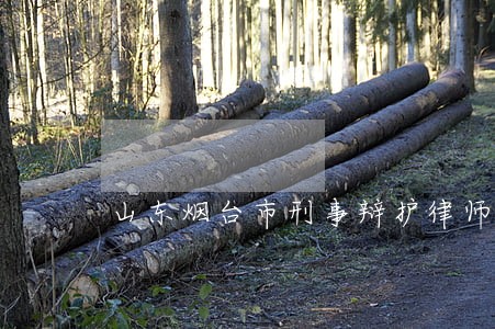 山东烟台市刑事辩护律师诉讼费